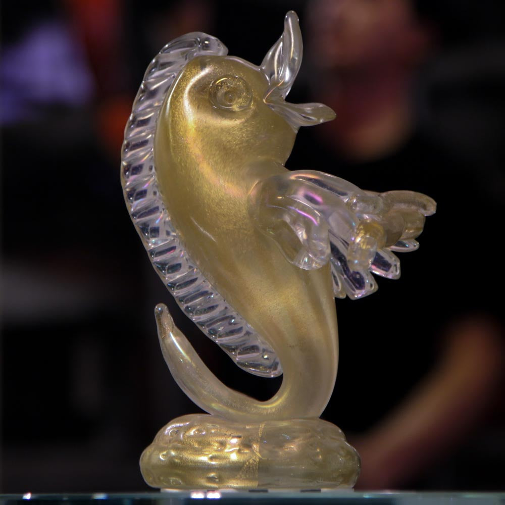 Golden Dolphin - with Violin