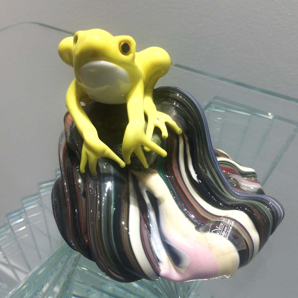 Grenouille sur le rocher