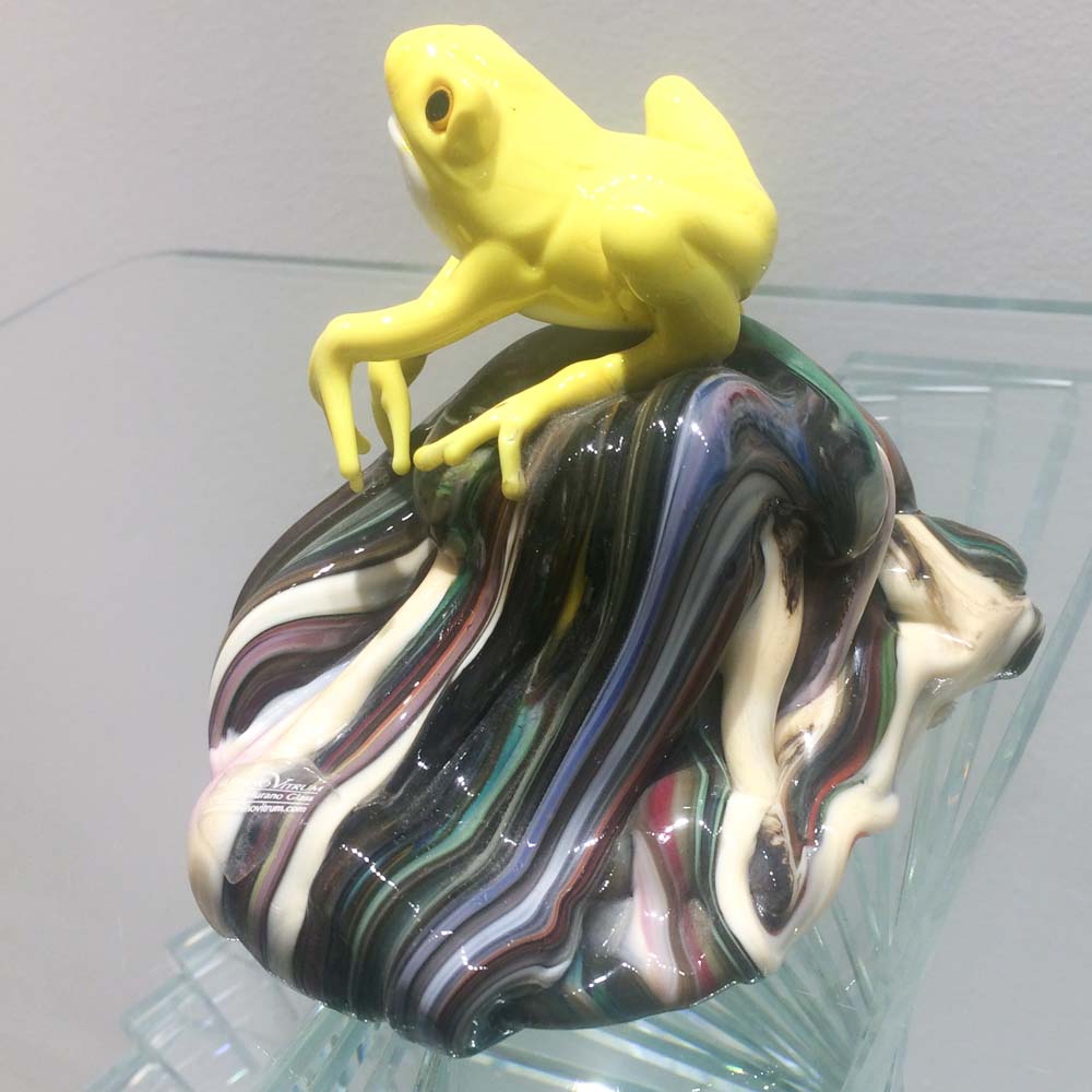 Grenouille sur le rocher