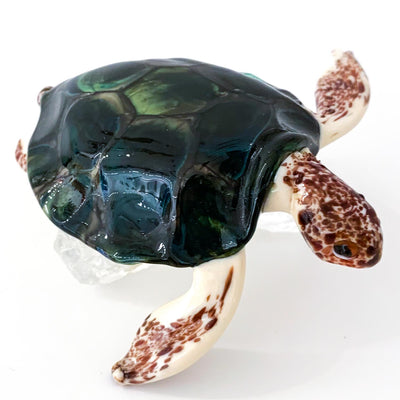 Tartaruga in vetro di Murano sulla roccia