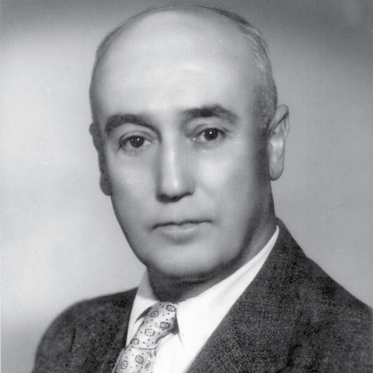 Giulio Radi