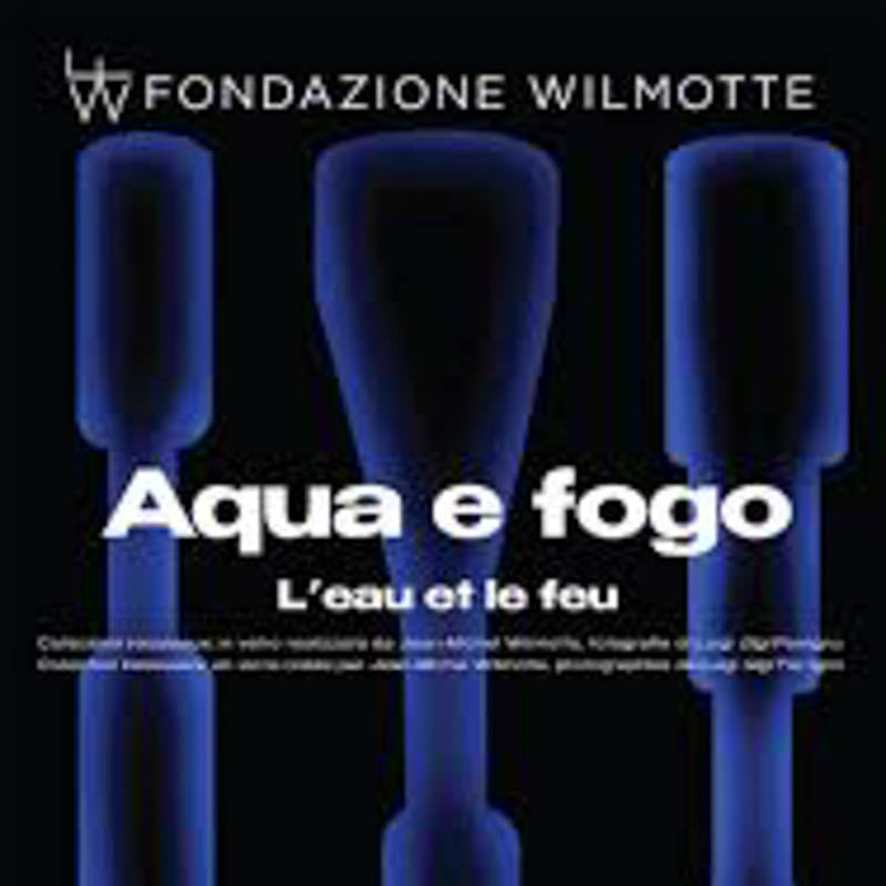 arte contemporanea Acqua, fuoco, materia. Vetro e fotografia alla Fondazione Wilemotte di Venezia