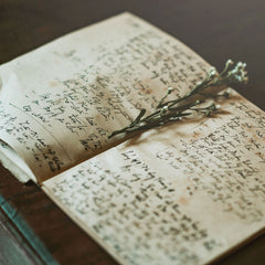 Books And Pubblications