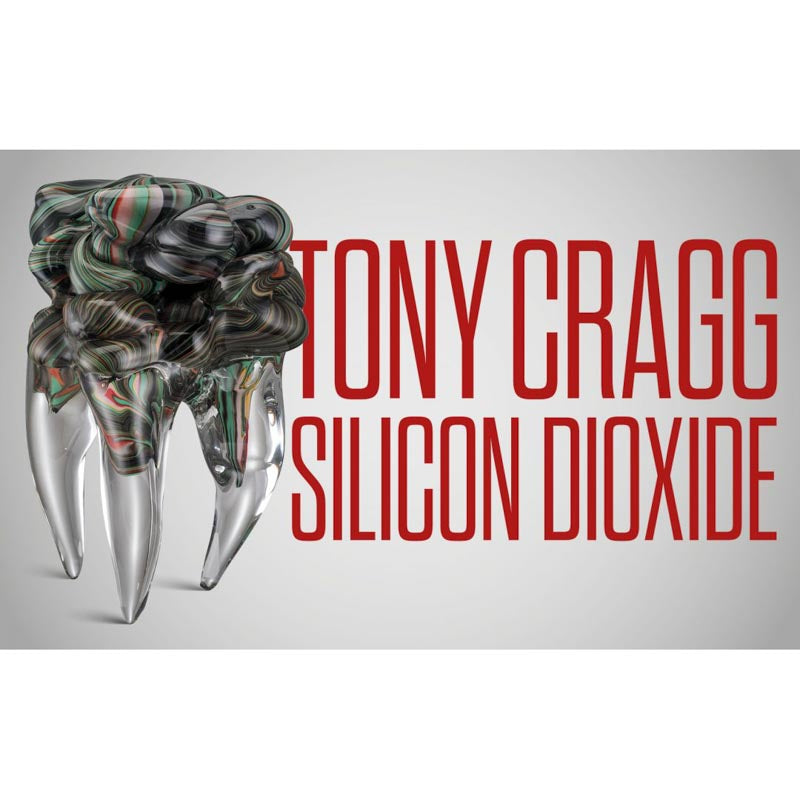 Tony Cragg | Silicon dioxide