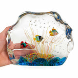 Aquarium de récifs coralliens aux eaux cristallines