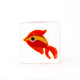 Mini acquario quadrato trasparente
