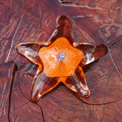 Starfish with Murrine and Gold Leaf, Orange - Murano Glass