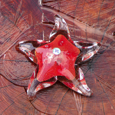 Starfish with Murrine and Gold Leaf, Red - Murano Glass