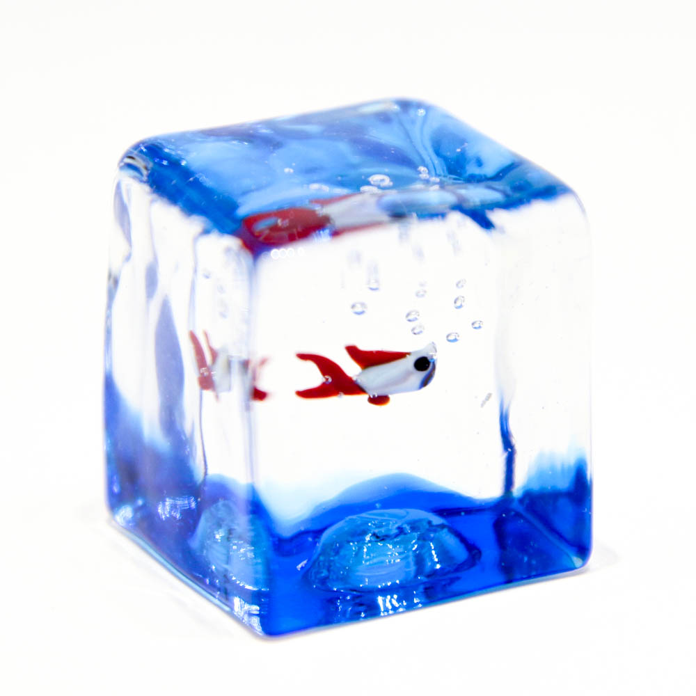 Fish Cube | Buy Online Murano Glass Decoration | Made in Italy