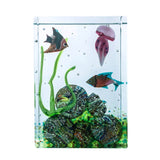 Aquarium en verre de Murano - Modèle 8