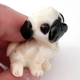 Dog miniature